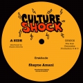 Culture Shock 02