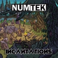 Numtek 01