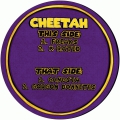 Cheetah 01