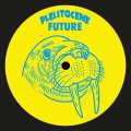 Pleistocene Future 07